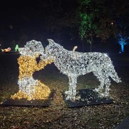 Lumina Park Budapest - Egyéb