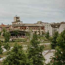 Zsiráf Buda Budapest - Egyéb