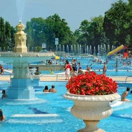 Palatinus Strandfürdő Budapest - Egyéb