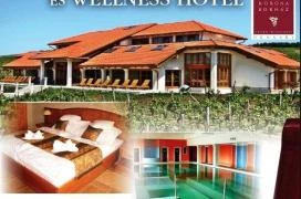 Egri Korona Borház & Wellness Hotel étterme Demjén