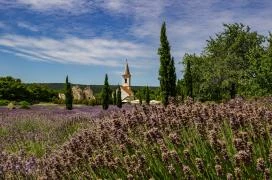 Felsődörgicsei templomrom Dörgicse