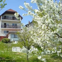 Apartman Berki Hévíz - Külső kép