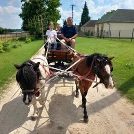 Póni Kuckó Vendégház és Minifarm Hosszúvölgy - Egyéb