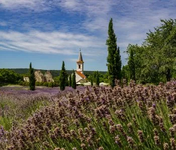 A Balaton-felvidék legelképesztőbb látnivalói, amit kár lenne kihagyni