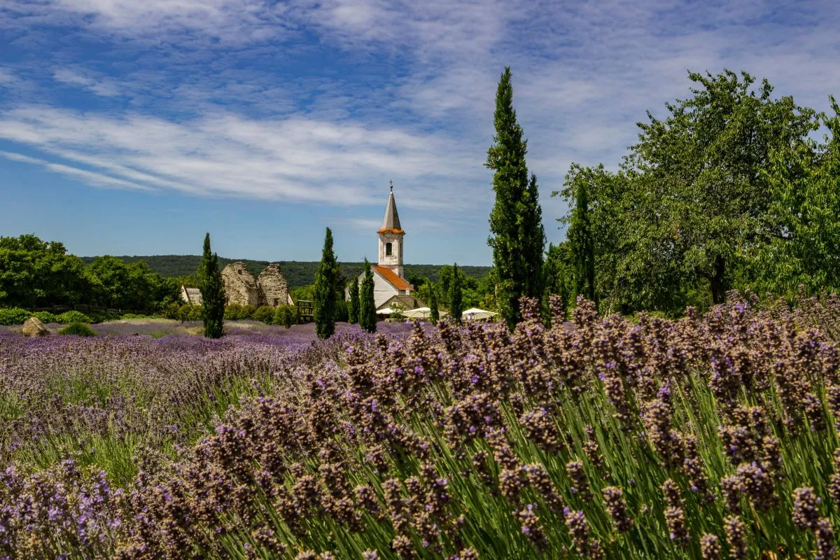 A Balaton-felvidék legelképesztőbb látnivalói, amit kár lenne kihagyni