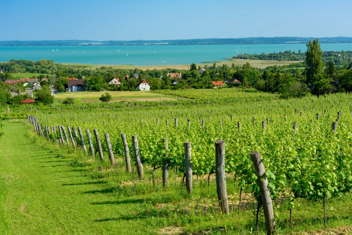 10 úti cél a Balatonon nyárra - Csopak