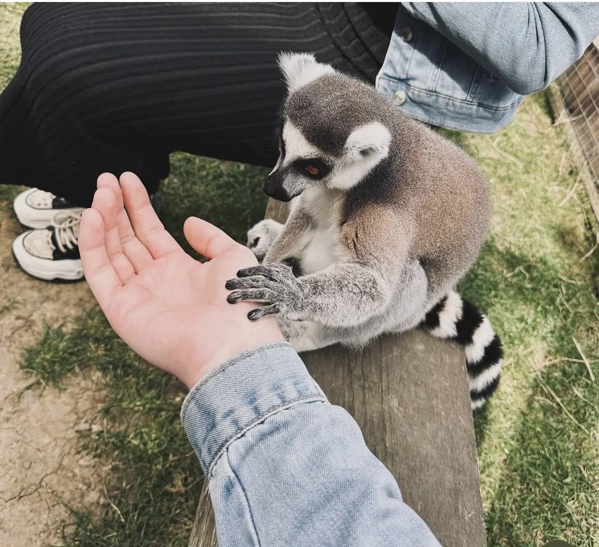 A 10 legjobb családi program a Dél-Dunántúlon - Fotó: Mini Zoo Facebook oldala (Komló)