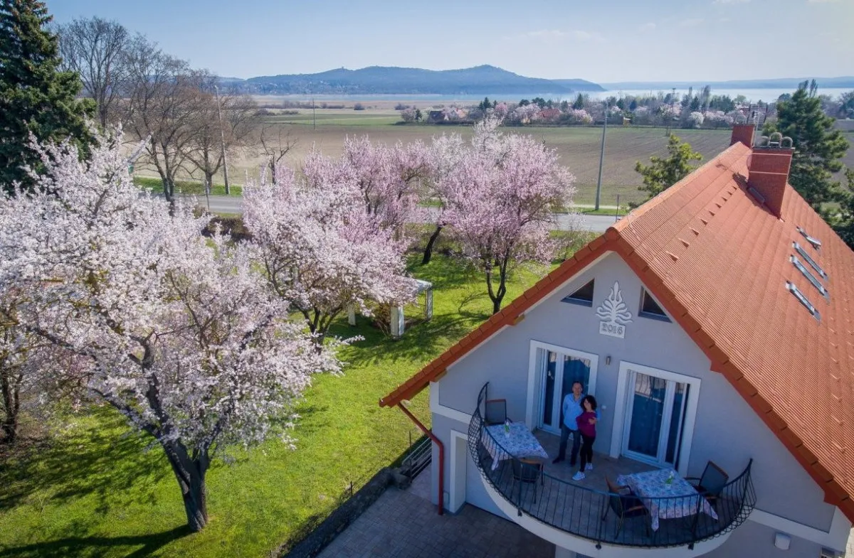 10 vendégház a tökéletes nyaraláshoz - Tulipán Vendégház (Örvényes)