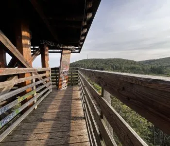 Hűsölj Sopron mesebeli rengetegében! Kirándulás a Lővérekben