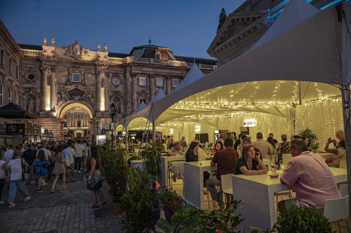 Budapesti Borfesztivál, Budavári Palota / Fotó: Szigetváry Zsolt (borkult)