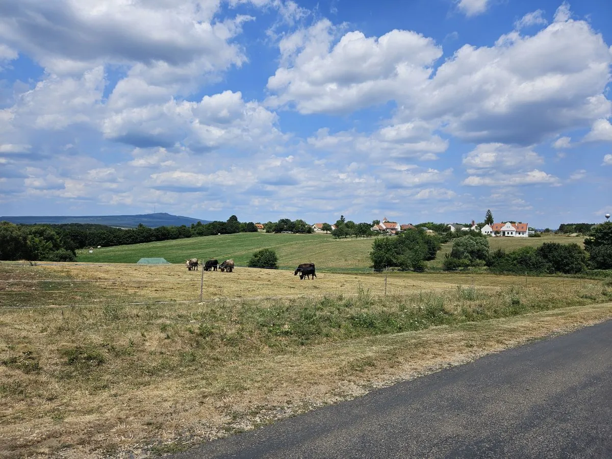 Kirándulás Magyarországon: Nagyvázsonyt mélyen áthatja a Balaton-felvidék utánozhatatlan hangulata.