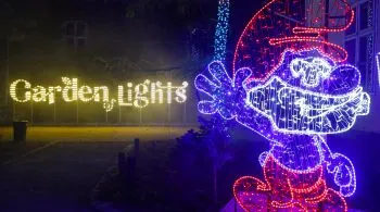 Garden Of Lights Hupikék Törpikék kiállítás - varázslat kicsiknek és nagyoknak!