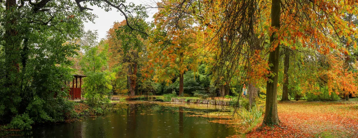 Szombathelyen gyönyörű és könnyed kirándulás / Fotó: Kámoni Arborétum, Szombathely Facebook oldala