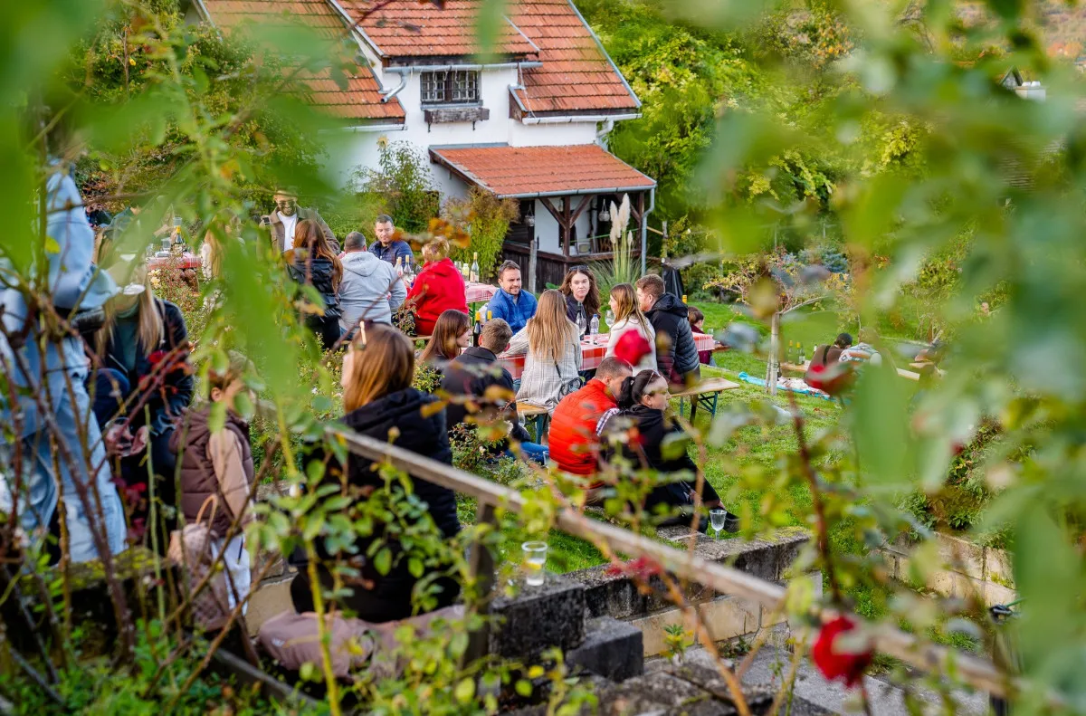 Etyek programok: az Etyeki Piknik igazi gasztro élmény - Fotó: Etyeki Piknik Facebook oldala