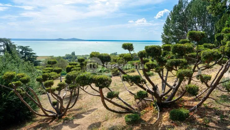 Folly Arborétum