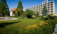 Aranyhomok Business & Wellness Hotel, Kecskemét