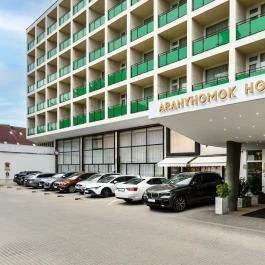 Aranyhomok Business & Wellness Hotel Kecskemét - Külső kép