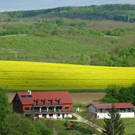 Rejtek Vendégház és Kisrejtek Apartmanház Lispeszentadorján - Egyéb