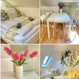 Magenta Apartman Mórahalom - Egyéb