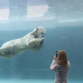 Sóstó Zoo - Nyíregyházi Állatpark Nyíregyháza - Egyéb