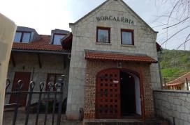 Borgaléria Pinceborozó Tokaj