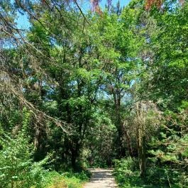 Tiszaigari Arborétum Tiszaigar - Egyéb