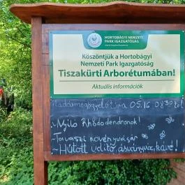 Tiszakürti Arborétum Tiszakürt - Egyéb