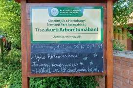 Tiszakürti Arborétum Tiszakürt