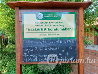 Tiszakürti Arborétum