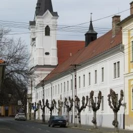 Váci Szent Anna Piarista templom Vác - Egyéb