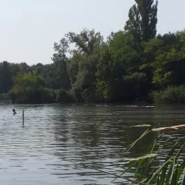 Malom Tóstrand Veresegyház - Egyéb