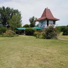 Mustang Ranch Üdülőháztelep Kiskunmajsa - Medence/kert