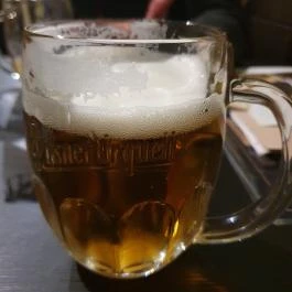 Ryl pub - a macskához Budapest - Egyéb