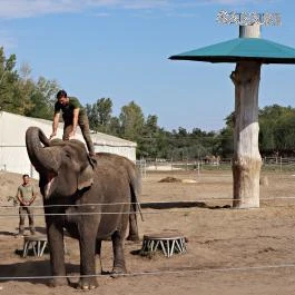 Richter Safari Park Nagykőrös - Külső kép