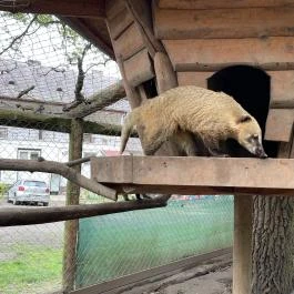 Törökmező Kalandpark Nagymaros - Egyéb