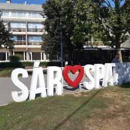 Hotel Bodrog Wellness Sárospatak - Külső kép