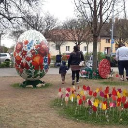 Tojáspark Tapolca - Egyéb