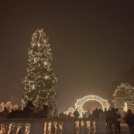 Fénypompás Kastélypark Gödöllő - Egyéb