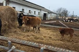 Garabonciás Farm és a 7 Vezér Történelmi Kalandpark Garabonc