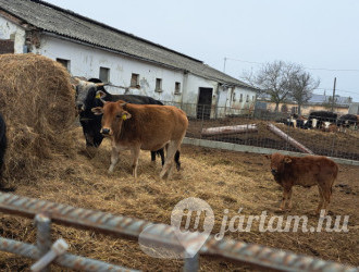 Garabonciás Farm és a 7 Vezér Történelmi Kalandpark