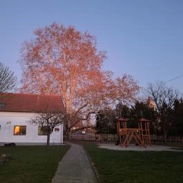 500 éves platán Söjtör - Külső kép