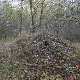 Avar fejedelmi emlékoszlop Kunszentmiklós - Külső kép