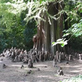 Barangoló - Kastélypark tanösvény Martonvásár - Külső kép