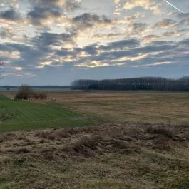 Benei templomrom Ladánybene - Külső kép