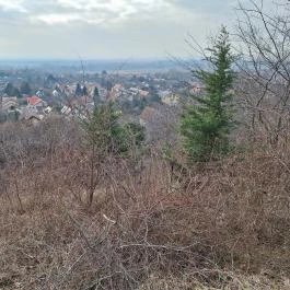 Csömöri Kitekintő Csömör - Külső kép