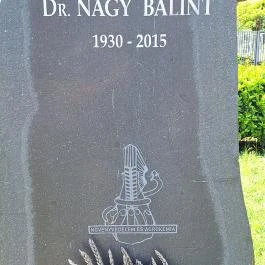 Dr. Nagy Bálint mellszobra Budapest - Egyéb