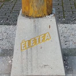 Életfa Szigetbecse - Egyéb