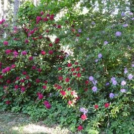 Kámoni Arborétum & Ökoturisztikai Központ Szombathely - Külső kép