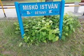 Miskó István sétány Tiszakécske