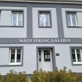 Nagy Ferenc Galéria Tab - Külső kép